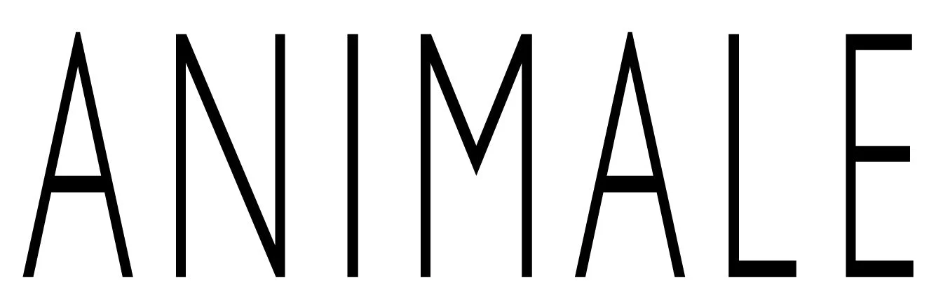 ANIMALE BY ANIMALE FOR MEN (M) EDT 100ML - Image 3